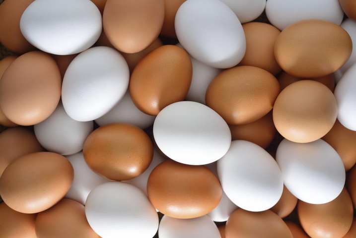 有机鸡蛋，包装精美