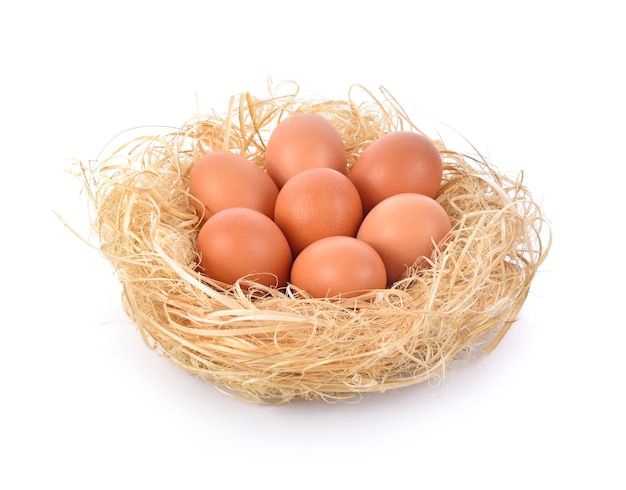 初生蛋，体型小巧精致